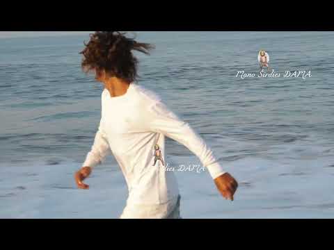 Kastytis Kerbedis   Melodija