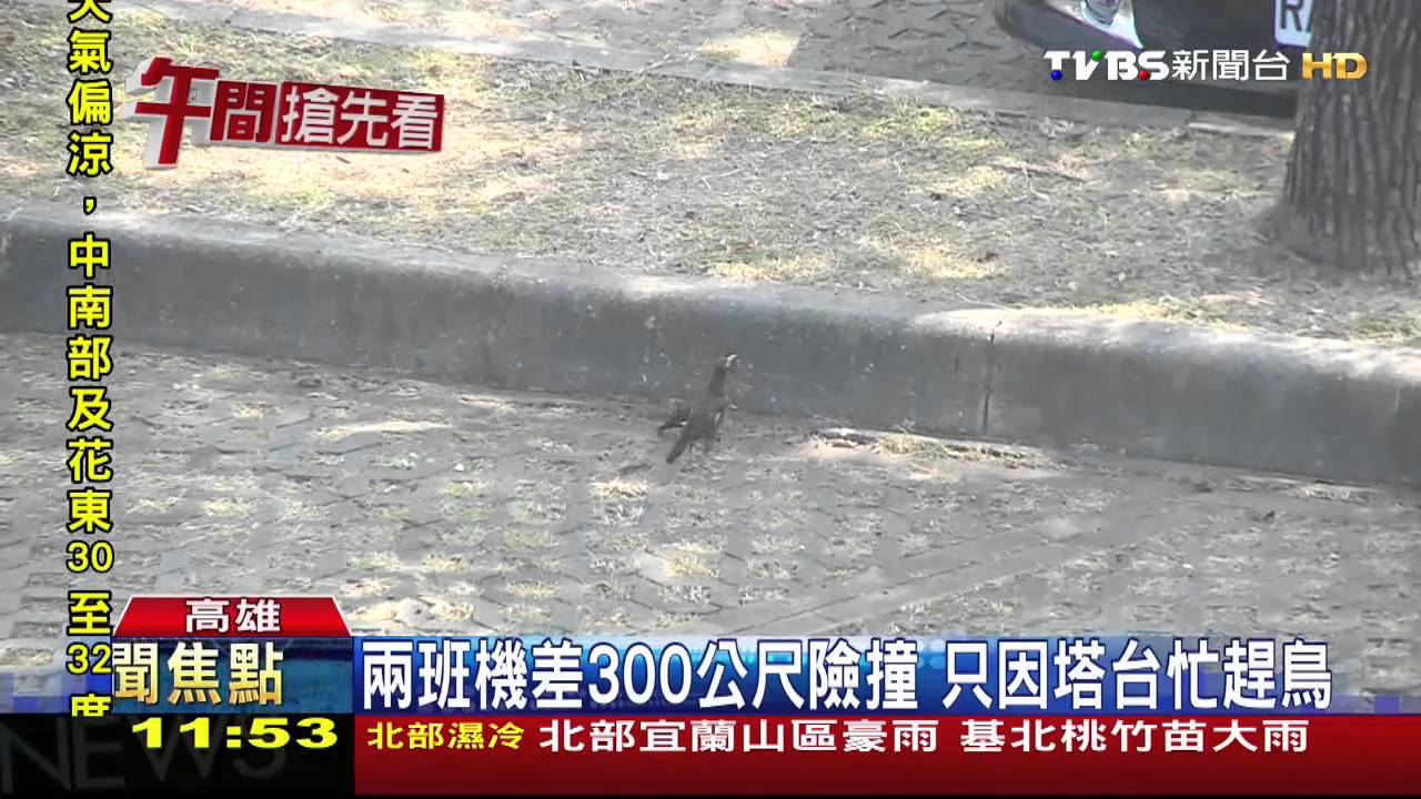 兩班機差300公尺險撞 只因塔台忙趕鳥