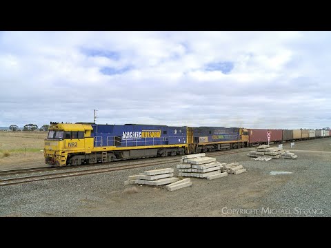 4PM4 Pacific National Steel & Container Freight Train NR2 & NR84 (2/7/2023) - PoathTV Railways