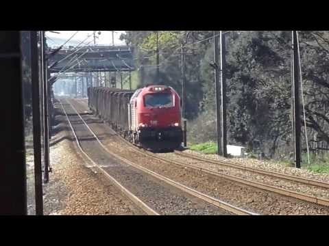 M 48898 {madeira - vazio} Leirosa Celbi-Tui (Qtª. das Freiras - Rio Tinto - 16.03.2014)