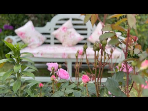 English Rose Garden | May Tour | David Austin Roses | Clematis | Alliums | Aquilegia | Acers & more