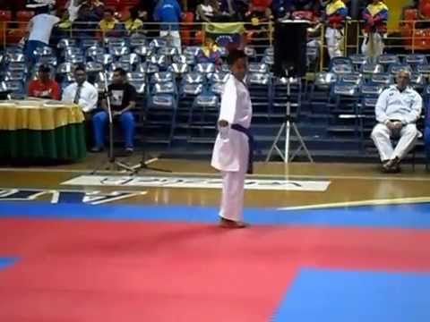 II PANAMERICANO KARATE-DO VENEZUELA 2012 JKS.