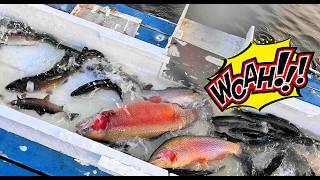 3/26/26 MASSIVE STOCKING OF HUGE TROUT & LIGHTNING TROUT AT SANTA ANA RIVER LAKES
