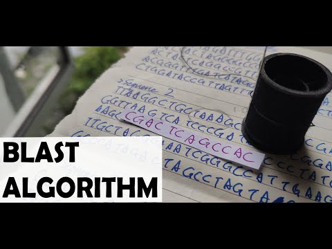 BLAST Algorithm Explained