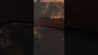 M17 QSO on M17-M17 module C