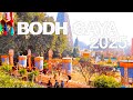 Bodh Gaya During Nyingma Monlam Chenmo རྒྱ གར རྡོར རྗེ གདན རྙི�