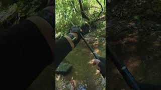 小渓流でこの日一番の良型イワナが出現！！水中映像もあるよ。 #tohoku #渓流釣り #岩手県 #イワナ #岩魚 #餌釣り
