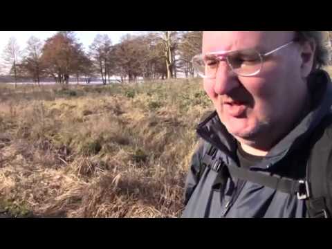 MongoTV_2142 - English Vlog_0011 - Furelake in Frederiksdal Denmark a Sunny Spring Day