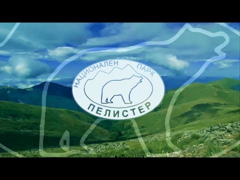 National Park PELISTER, Macedonia
