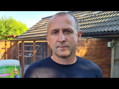 Piotr Bugała - PZHGP 0153 Ruda Śląska II / Mega Gołąb Do Wygrania 👻😉