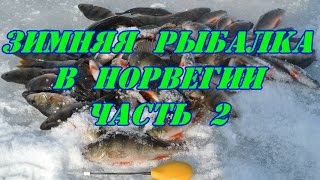 Зимняя рыбалка в норвегии фото