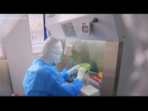 Facts Not Fear | What we know about the coronavirus, Florida cases