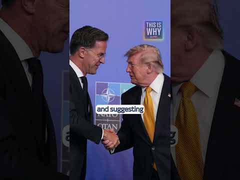 Mark Rutte The Trump whisperer | This Is Why