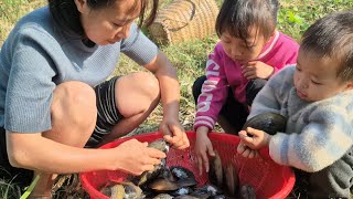 Download lagu đi bắt ốc mang đi bán và đi làm thuê chặt cây chuối #Hoàng tiểu yến #123 mp3