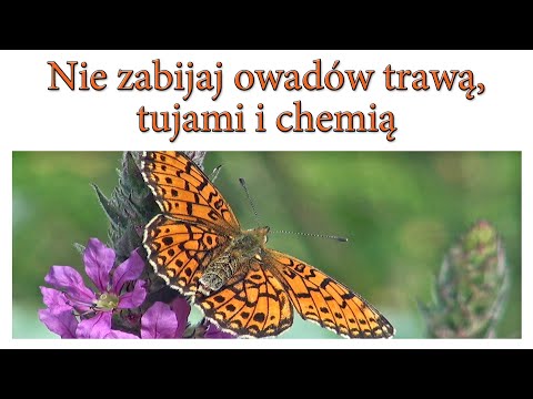 Nie zabijaj owadów trawą, tujami i chemią - Ogrodowe pierdamony 118