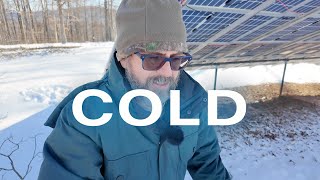February Homestead Updates: From Challenges to Triumphs