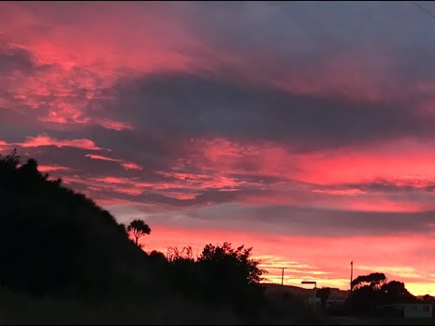 Week in Review with Doooovid - Episode 159 - 26-06-22