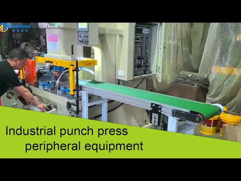 Coil-Fed Punch Press Line — Automatic Feeding Into the Die
