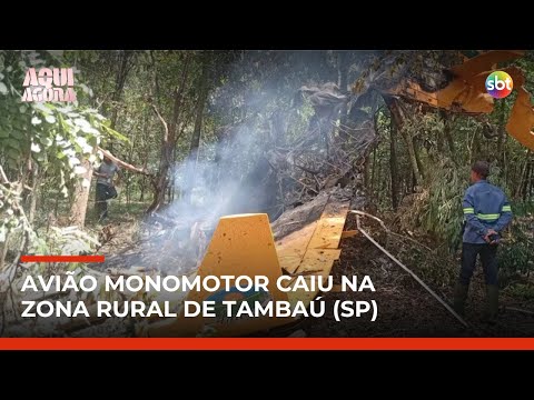 Avião monomotor cai e piloto escapa com vida no interior de SP | #AquiAgora