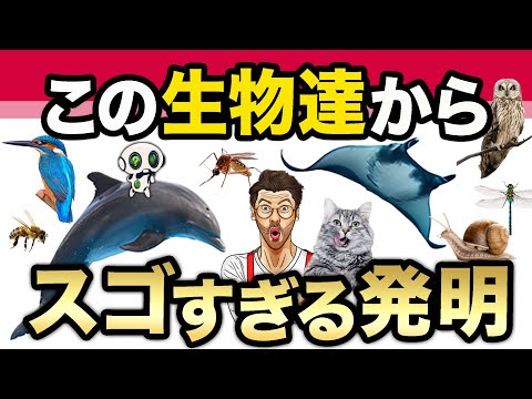 テラリウムの中の砂漠: 家具、動物、テクノロジー
