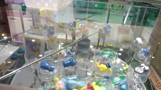 ＪＡＭＢＯ　ＴＷＩＮ　ＨＤ