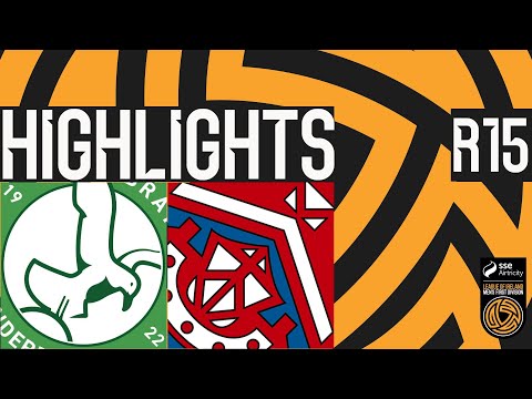 bg-highlight