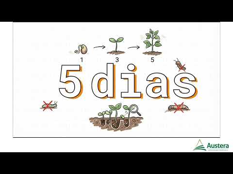 Pragas Iniciais da Soja