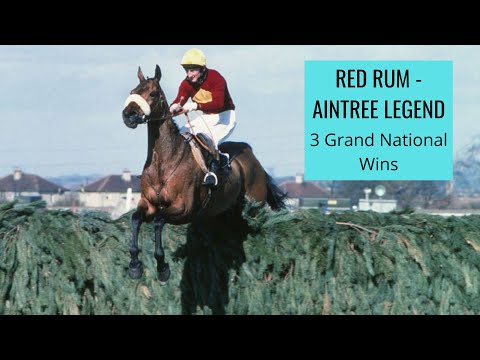Red Rum | Aintree Legend, 3 Grand National Wins