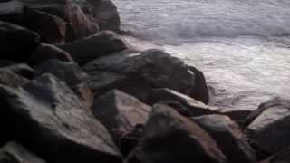 Hotel Books &quot;Constant Conclusions&quot; (Official Music Video)