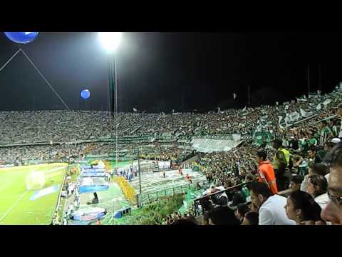 "Entre llantos y alegrías - Los del Sur (NACIONAL vs Junior)" Barra: Los del Sur • Club: Atlético Nacional • País: Colombia