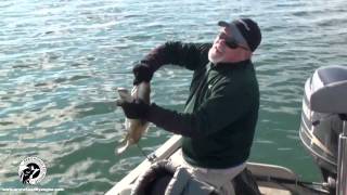 preview picture of video 'Smallmouth Bass Fishing Chequamegon Bay Wisconsin'