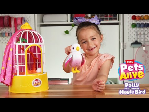 Unlock the Magic of Polly’s Reveal! 💫 | In Depth How-To