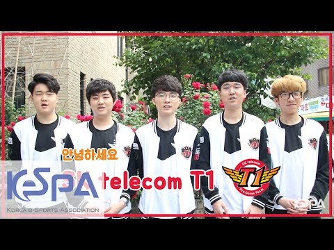 2017 LoL Champions Korea Summer - SK telecom T1 Interview (+ EN/CN Sub)