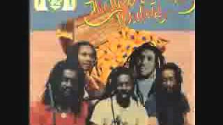 The Wailers - Hurts to be alone