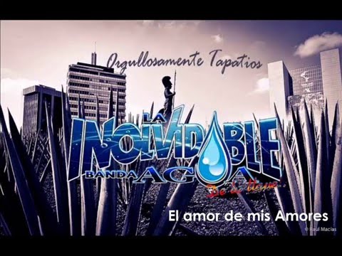(Letra) El Amor de Mis Amores - La Inolvidable Banda Agua de la Llave - 2015