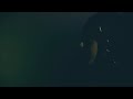 Don T Say You Love Me Video By Fifth Harmony
