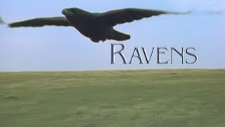 Ravens (2001)
