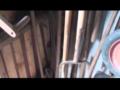 Die Oase am Wildenberg