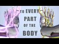 Chiropractic music video