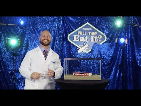 Pest World: Will They Eat It? Episode 2: Dictionary