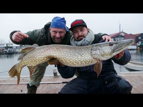 Matze Koch: Mit Melle am Hafen - die Hechtgranate!