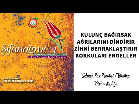 Kulunç, Bağırsak Ağrıları, Zihin Berraklığı ve Korkuları Engeller - Şifanağme 4