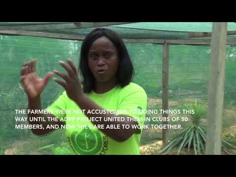 Eulaila Farmer's Club