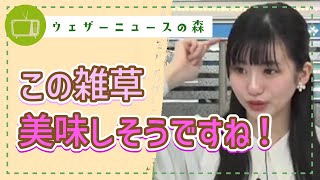 雑草が美味しそうなあまり、初めてしたヤギのモノマネの完成度が高い!【大島璃音】【切り抜き】ウェザーニュースの森【ウェザ森】