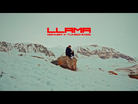 Llama - Donner, Tunechikidd (Visualizer)
