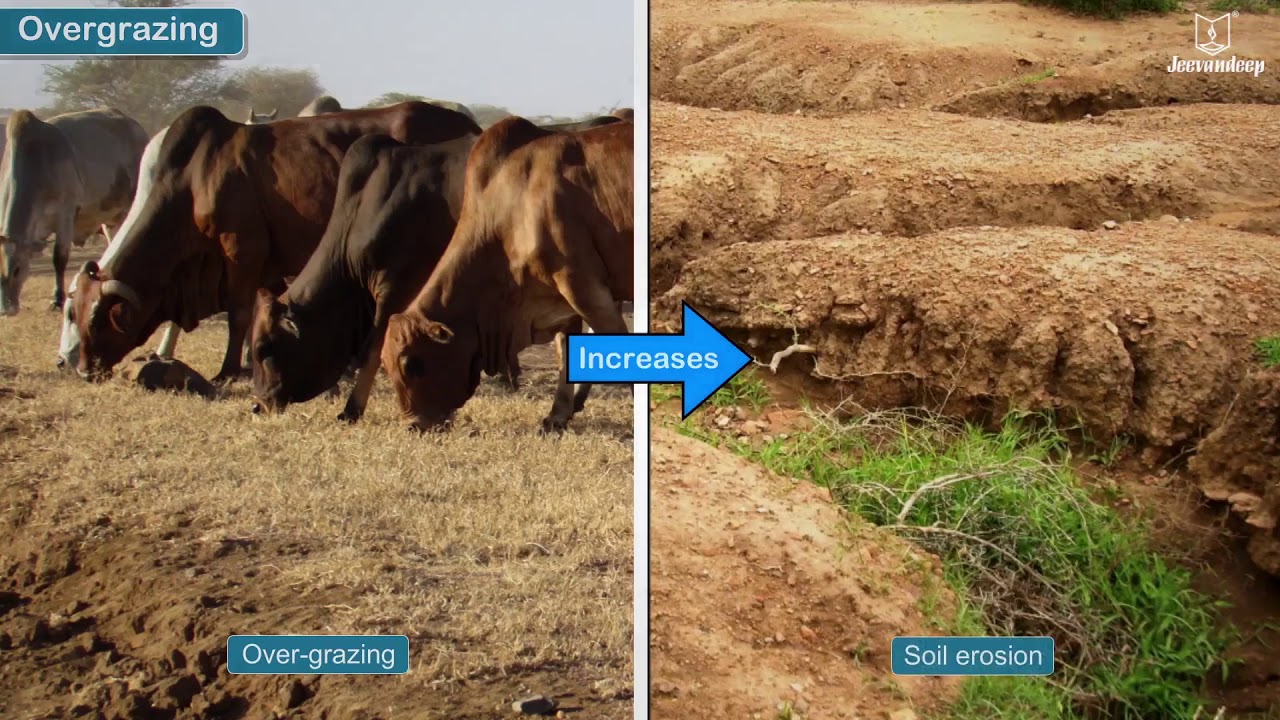 Soil Erosion and Conservation | Science for Kids | Grade 5 | Periwinkle