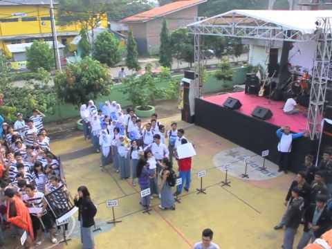 Realtheyt’s Video 120169842028 NwraFdoNsqw