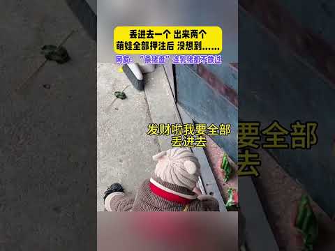 網友：殺豬盤連“乳豬”也不放過！#萌娃太可爱啦 #搞笑＃萌娃 ＃可爱宝宝#万万没想到