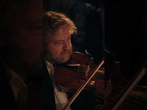 Anna Depenbusch & Kaiser Quartett Tour 2025