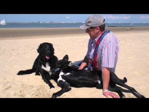 Hunde-Ferien Breskens